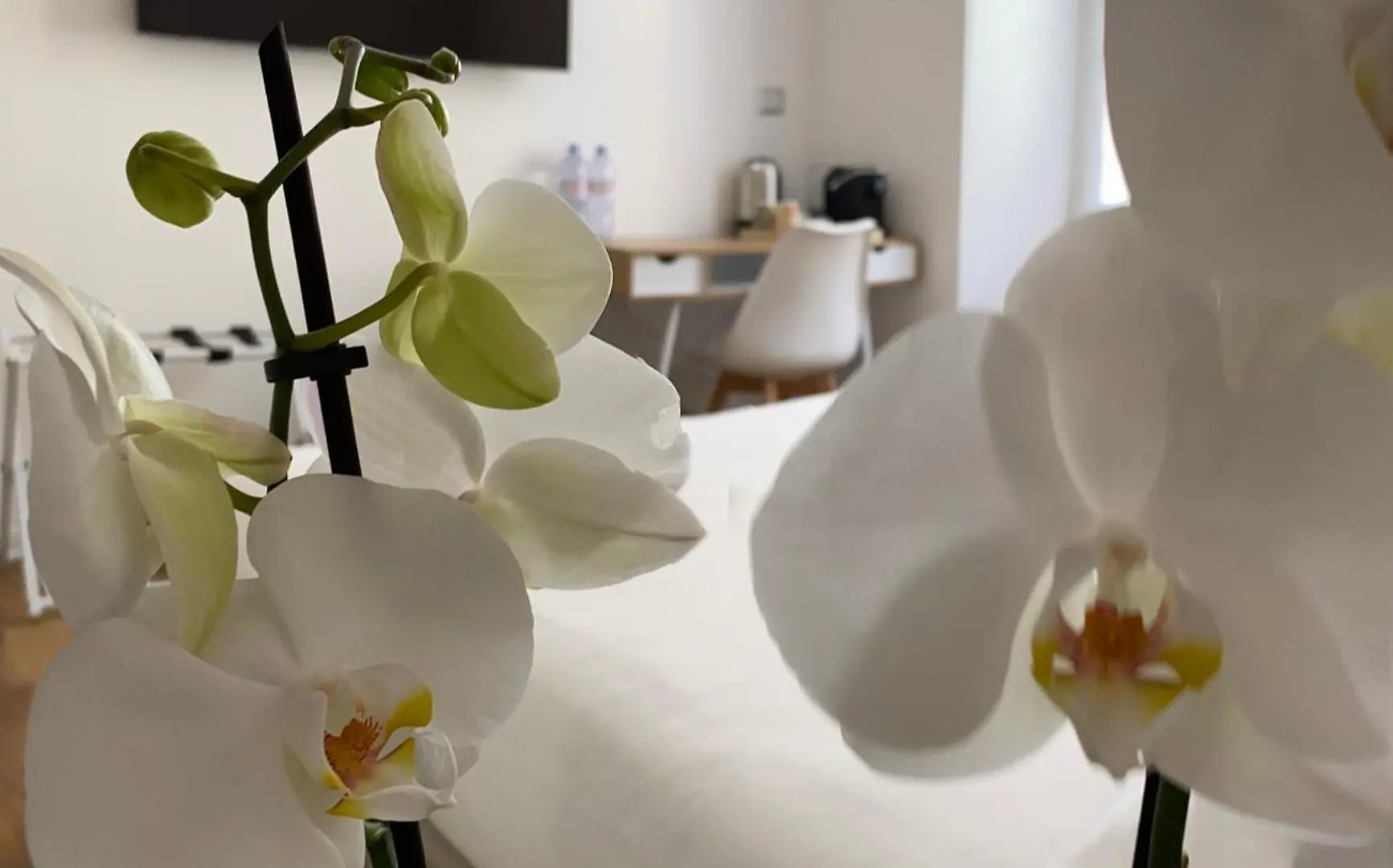 Hotel Belltower Elegans Rom